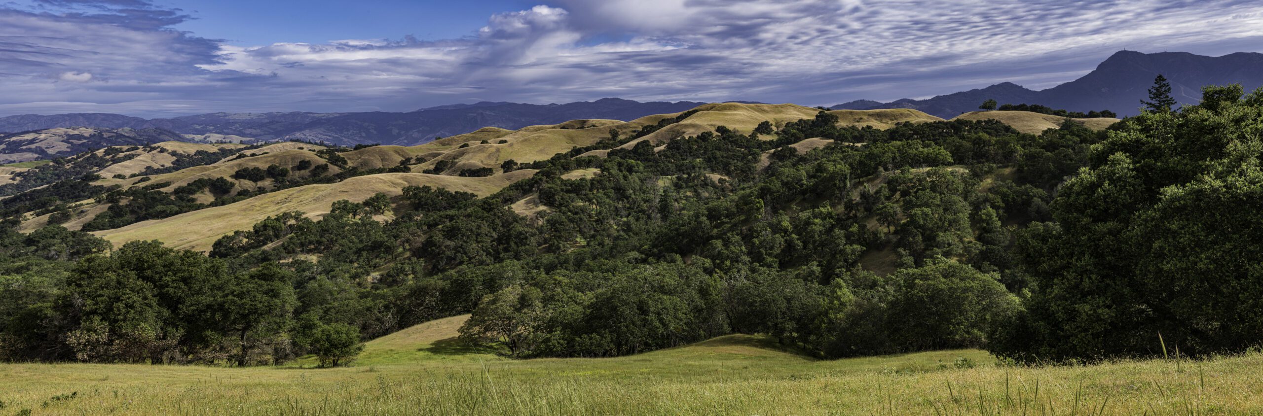 Santa Rosa Mountains